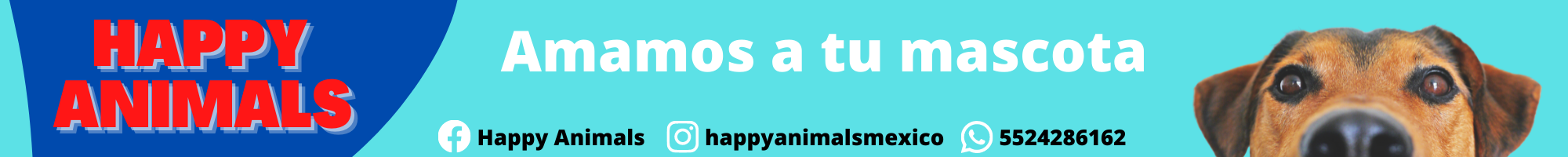 HAPPY ANIMALS